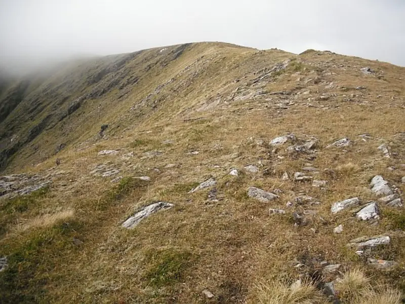 NN3745 : Northeast ridge, Beinn a' Chreachain
