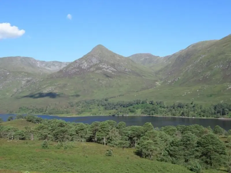 NH1621 : Loch Affric, the forest and Màm Sodhail