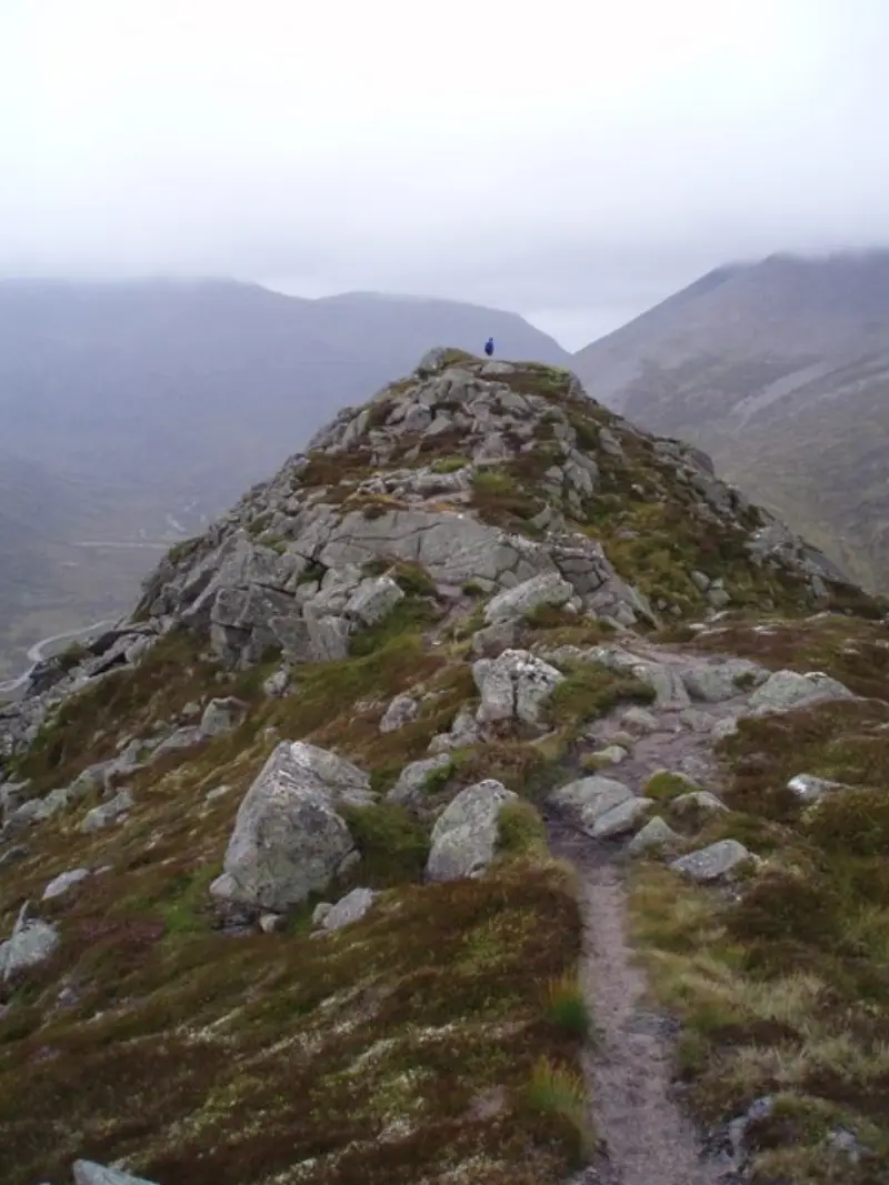 NN9996 : Carn a' Mhaim - North Ridge