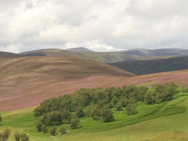 NO4680 : View towards Mount Keen